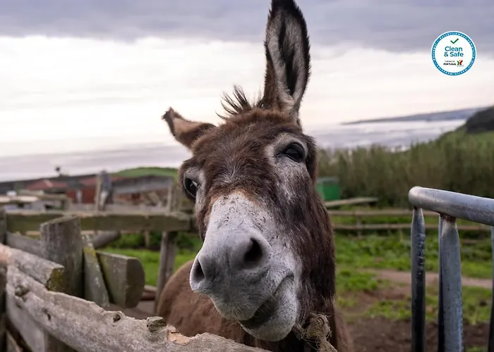 Hétvégi ház Casas Do Termo
