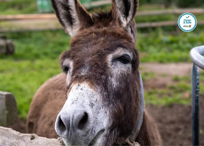 Casas Do Termo Hétvégi ház *