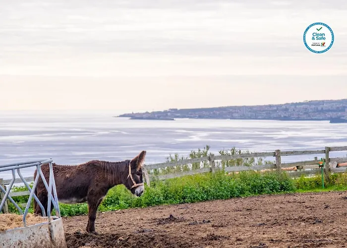 Hétvégi ház Casas Do Termo