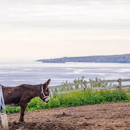 Landhaus Casas Do Termo