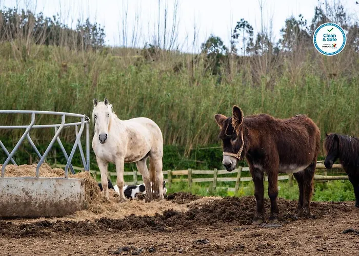 Casas Do Termo Country house *